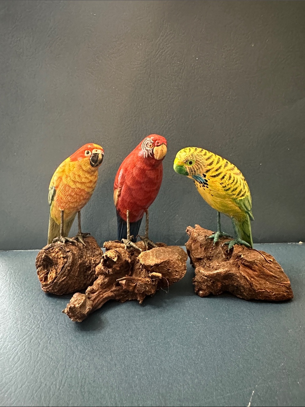 Vintage Hand-Painted Parrot Birds on Wood Bundle